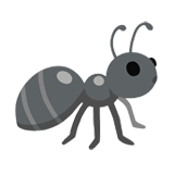 Ant