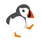 Atlantic Puffin