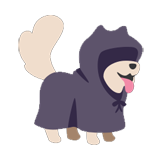 Bad Dog
