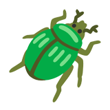 Beetle