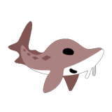 Beluga Sturgeon
