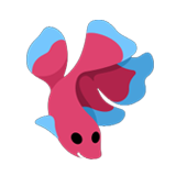 Betta Fish