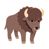Bison