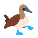 Blue-Footed Booby