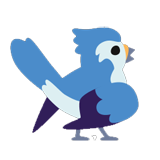 Blue Jay
