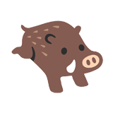 Boar