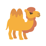 Camel