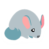 Chinchilla