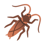 Cockroach