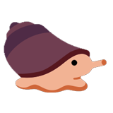 Cone Snail