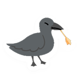 Crow