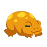 Cuddle Toad