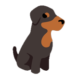 Doberman