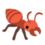 Fire Ant