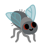 Fly