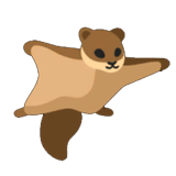 Flying Squirrel