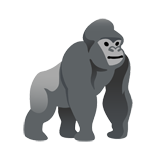 Gorilla