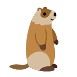 Groundhog