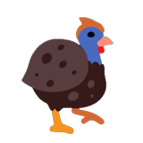 Guineafowl