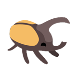 Hercules Beetle