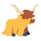 Highland Cow