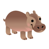 Hippo