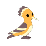 Hoopoe Bird
