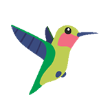Hummingbird