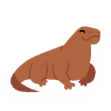 Komodo