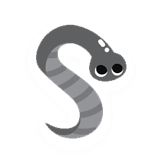 Leech