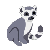 Lemur