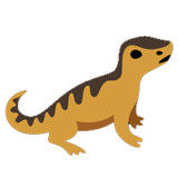 Lizard