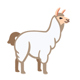 Llama
