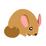 Loyal Chinchilla