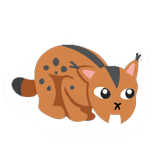 Lynx