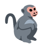 Macaque