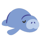 Manatee