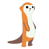 Meerkat
