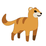 Mongoose