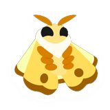 Moth