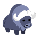 Musk Ox