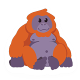 Orangutan