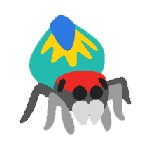 Peacock Spider