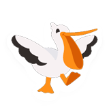 Pelican