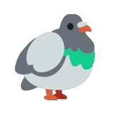 Pigeon