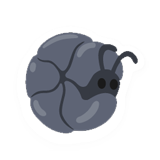 Pillbug