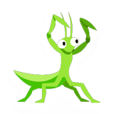 Praying Mantis
