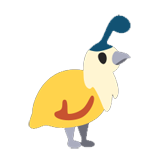 Quail Chick