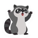 Raccoon