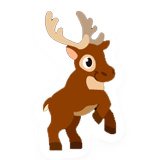 Reindeer